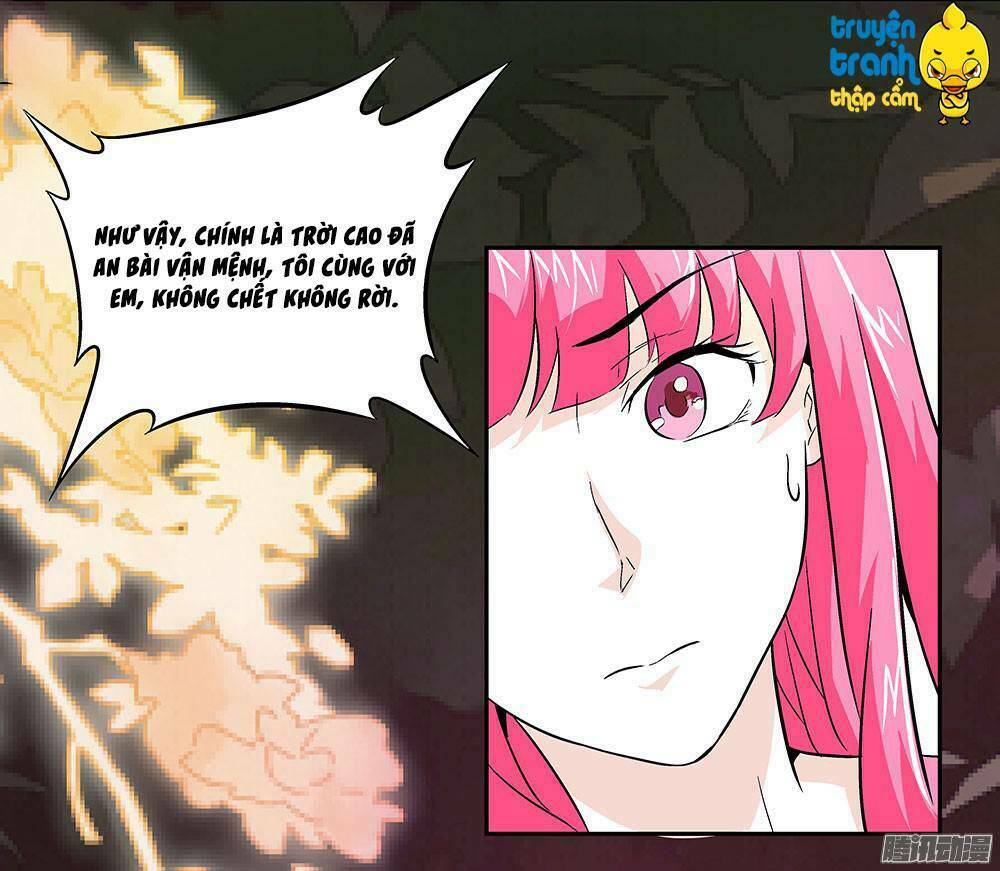 cường sủng hào môn tiểu manh thê chapter 6 14