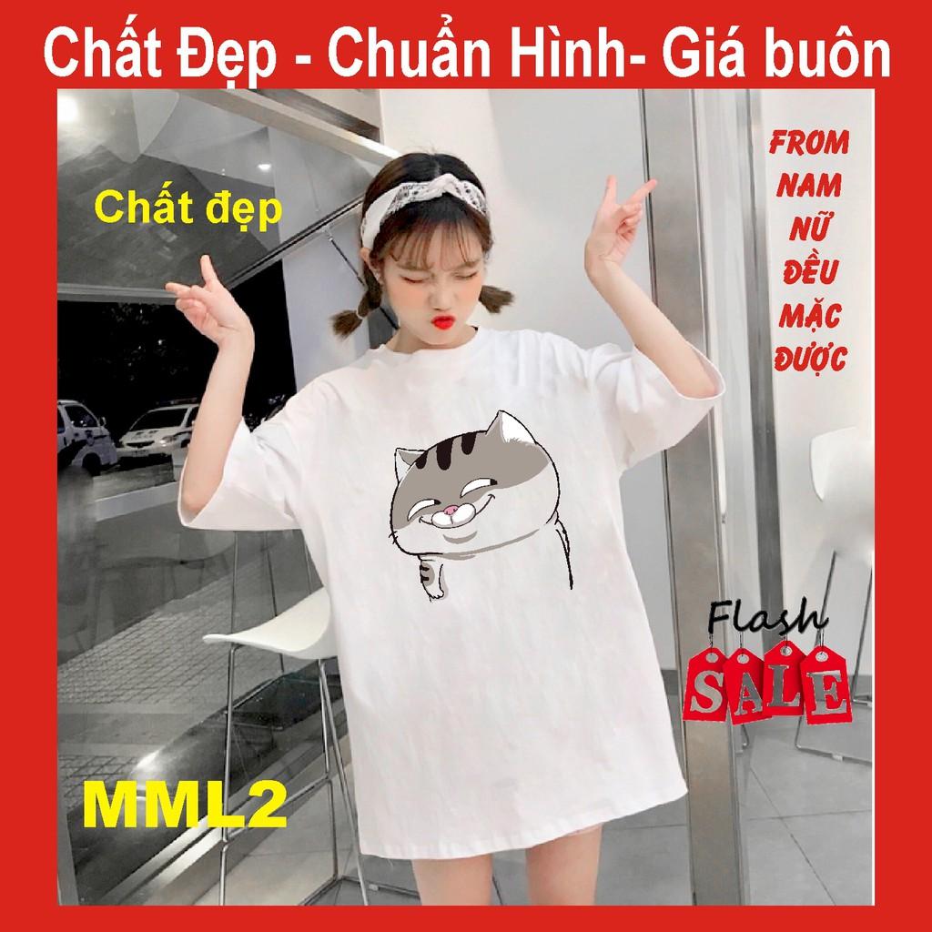Áo thun mèo cat ami bụng bự M2, FREE SIZE,meo meo