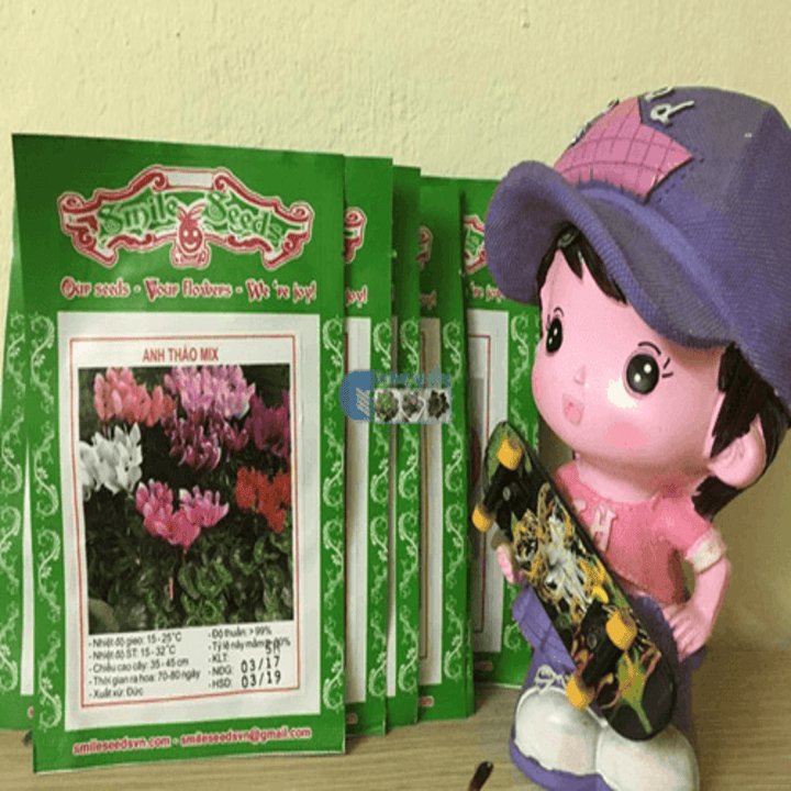 Hạt giống hoa Anh thảo mix gói 5 hạt