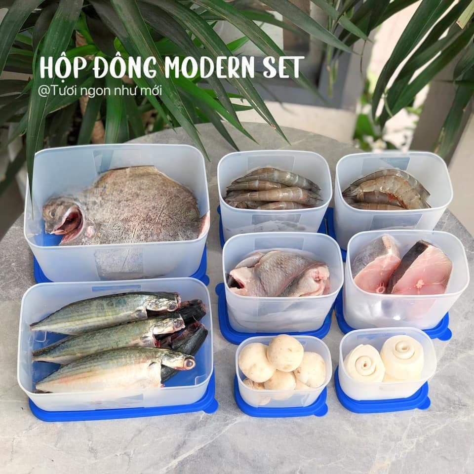 Set Trữ Đông Tupperware Modern 8 Hộp
