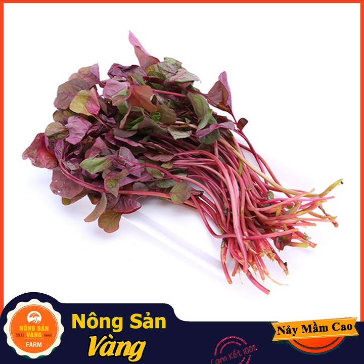Hạt giống Rau Dền Đỏ - Nông Sản Vàng