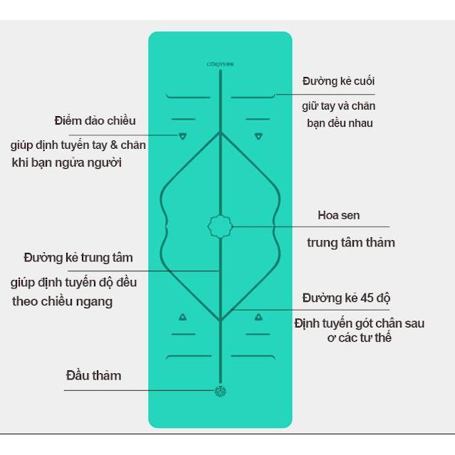 Thảm Yoga Định Tuyến Chống Trượt 2 Lớp Dày Chất Liệu Cao Su Non TPE Cao Cấp, Tấm Thảm Tập Gym, Thể Dục Tại Nhà