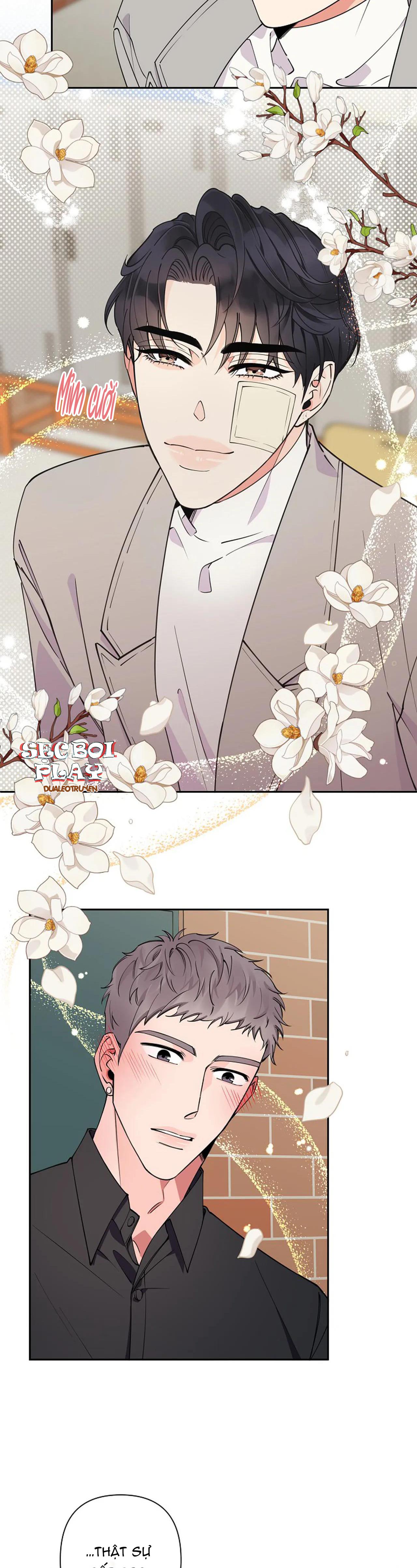 đêm dịu dàng chapter 12 14