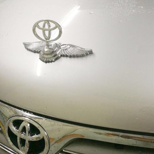 Logo Cánh Chim Thiên Thần Gắn Mui Xe Ô Tô Toyota giá tốt