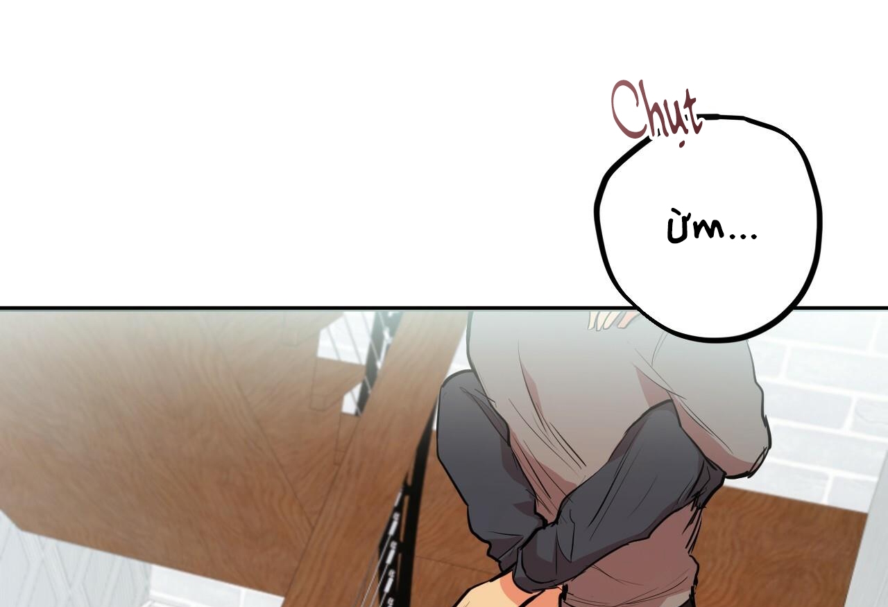 đàn thỏ của habibi chapter 28 232