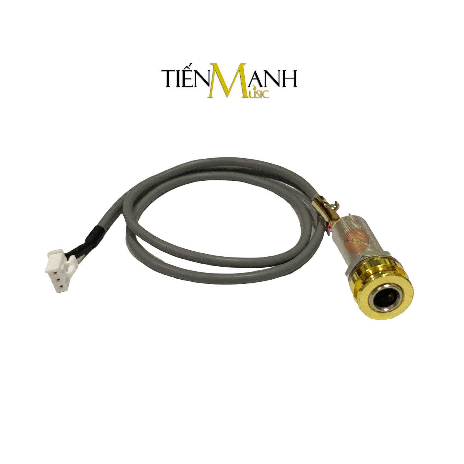 EQ Fishman Sonitone GT4 Gold Endpin Jack - Đàn Guitar Acoustic Preamp Pickup OEM-SON-GT4 Thiết bị Thu âm Ghita Hàng Chính Hãng - Kèm Móng Gẩy DreamMaker