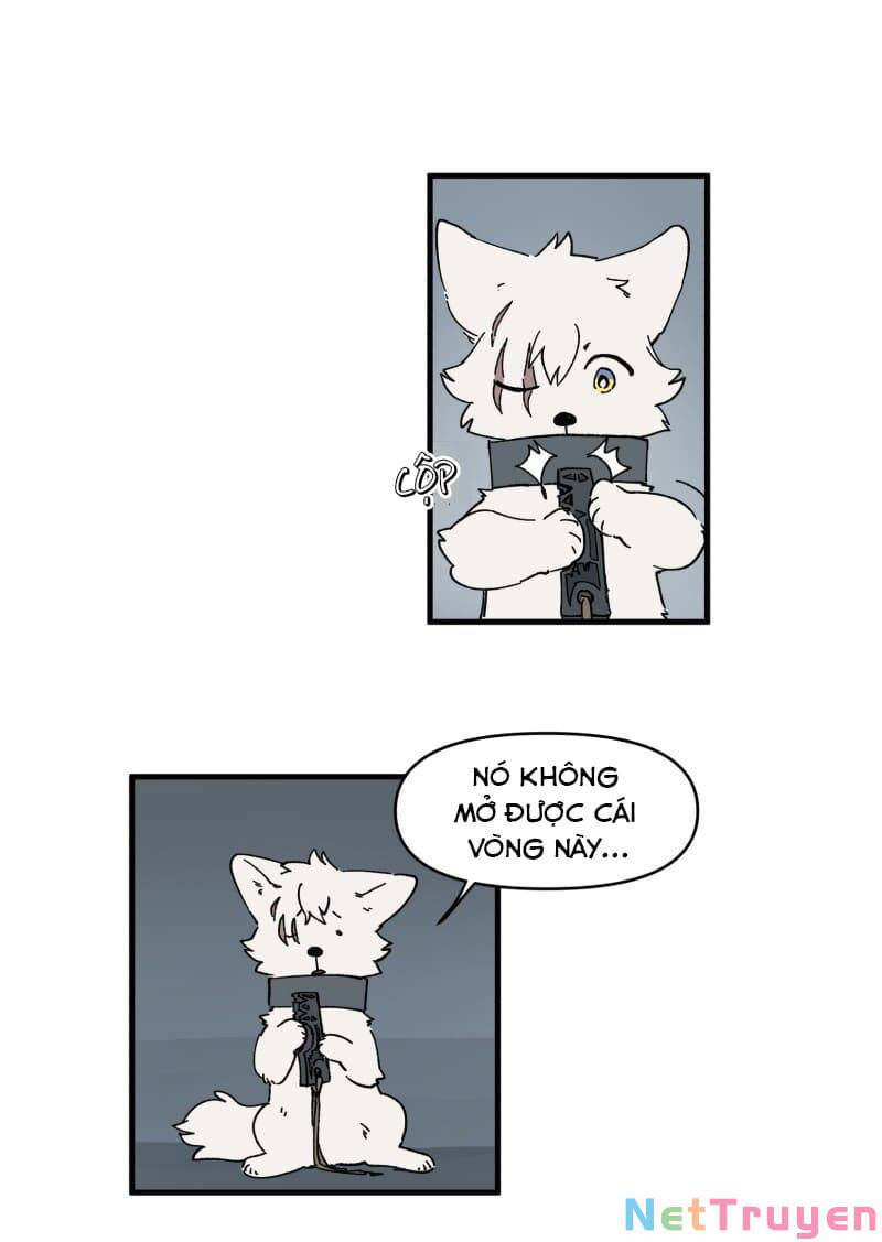 lumine - cội nguồn ánh sáng chapter 147 4