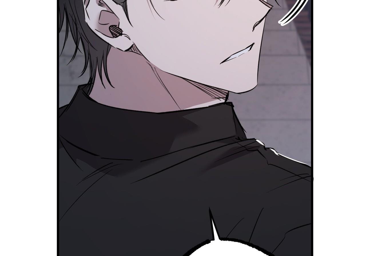 những chú thỏ của hapypy chapter 60 82