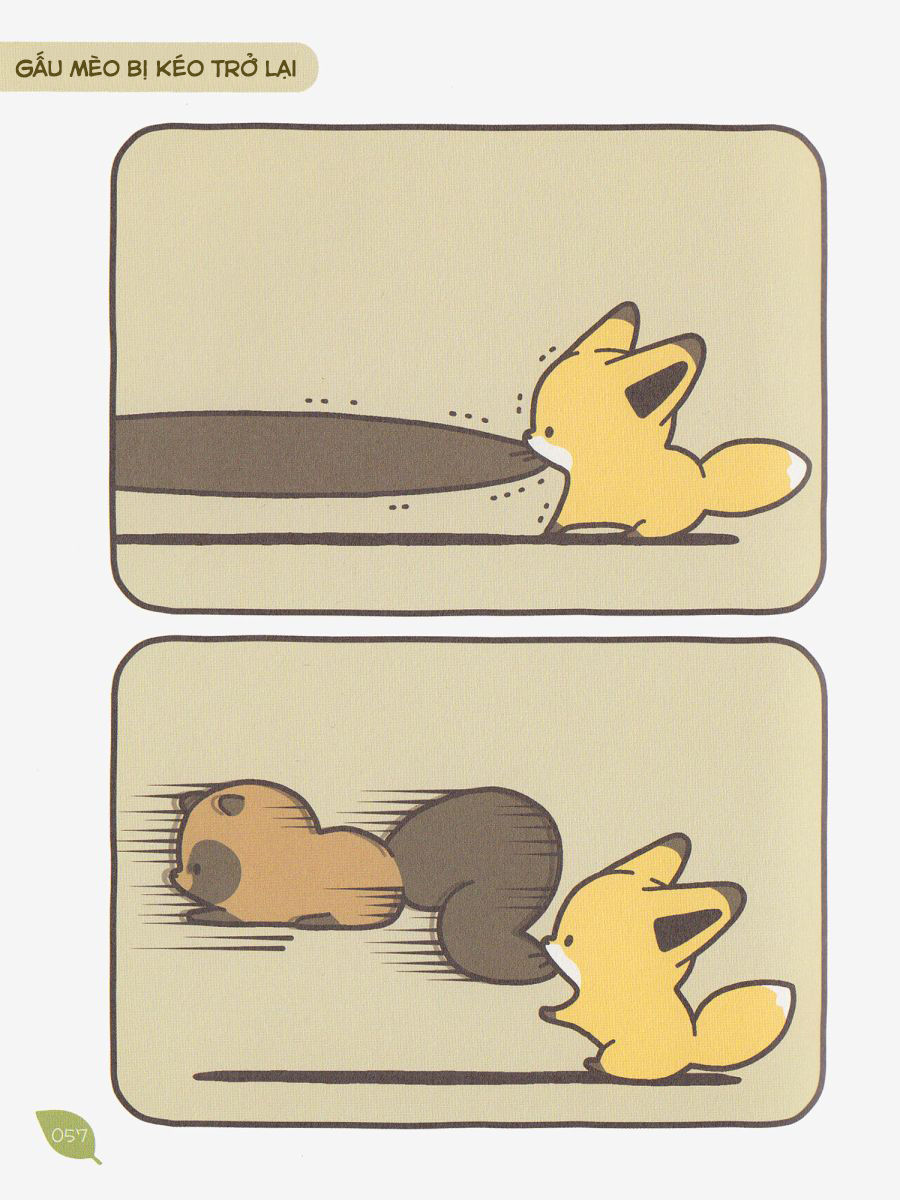 cáo và gấu mèo chapter 5 8