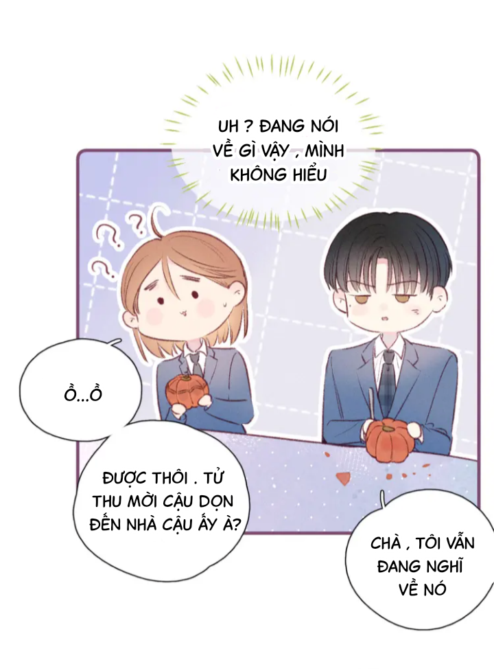 nỗi buồn của hoa cẩm tú cầu chapter 42 19