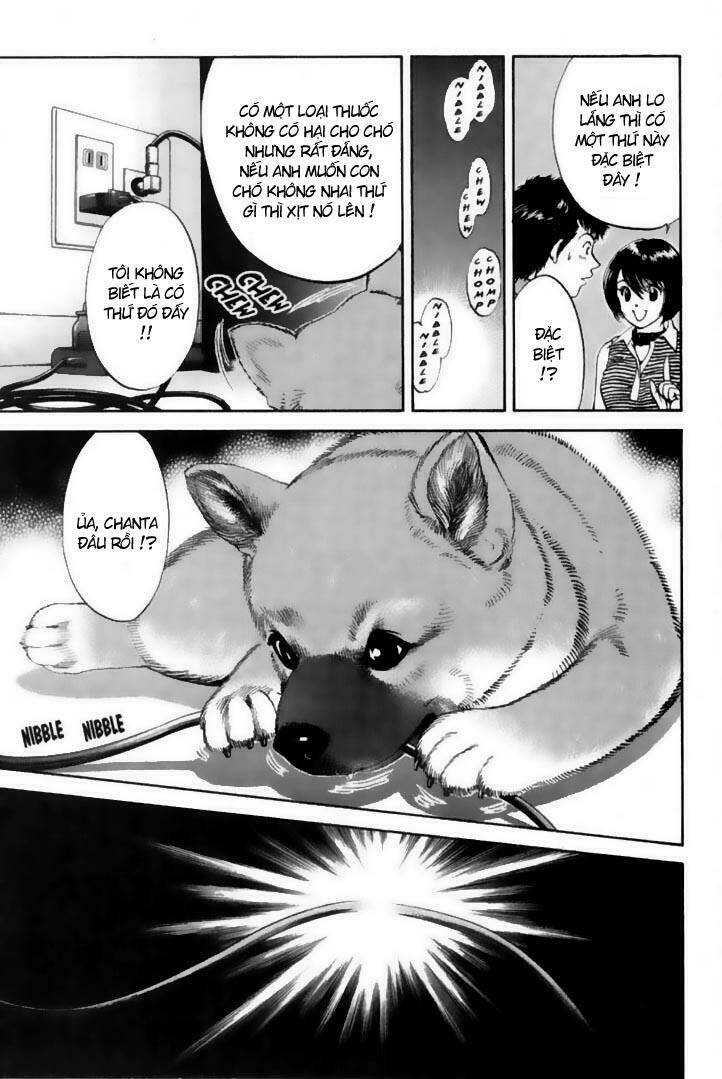 cô nàng yêu chó chapter 21 9