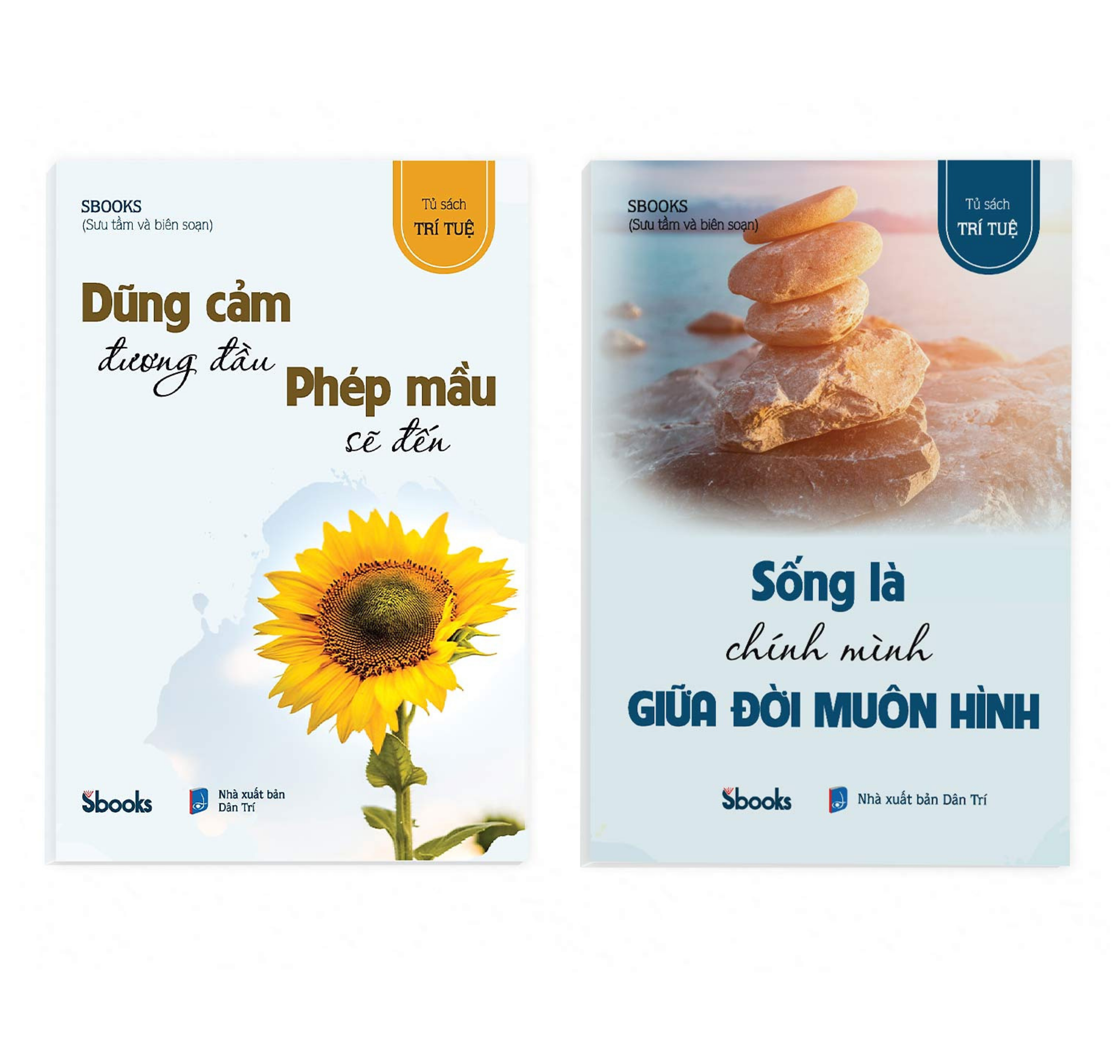 Combo 2 cuốn: DŨNG CẢM ĐƯƠNG ĐẦU PHÉP MẦU SẼ ĐẾN + SỐNG LÀ CHÍNH MÌNH GIỮA ĐỜI MUÔN HÌNH (Tủ sách Trí Tuệ)