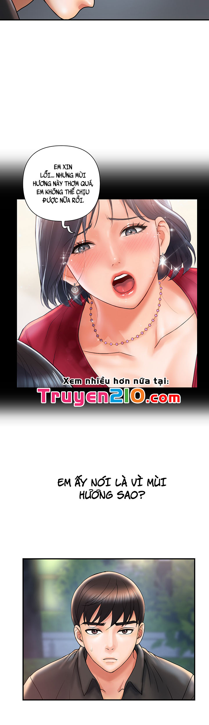 chất dẫn dục chapter 4 18