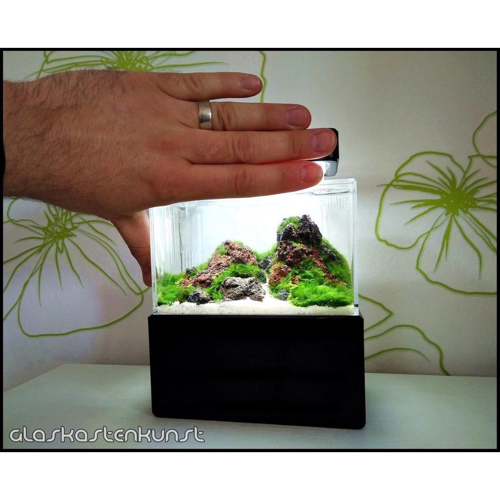 Bể cá siêu mini - Cunzo Mini Plastic Fish Tank