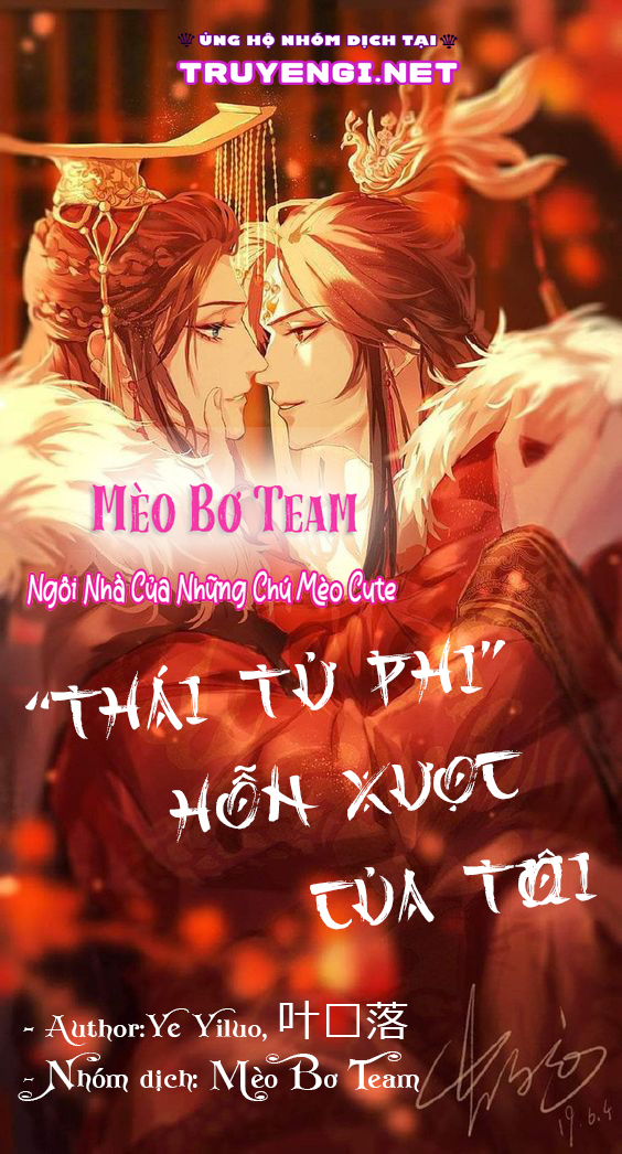 thái tử phi hỗn xược của ta chapter 1.1 4