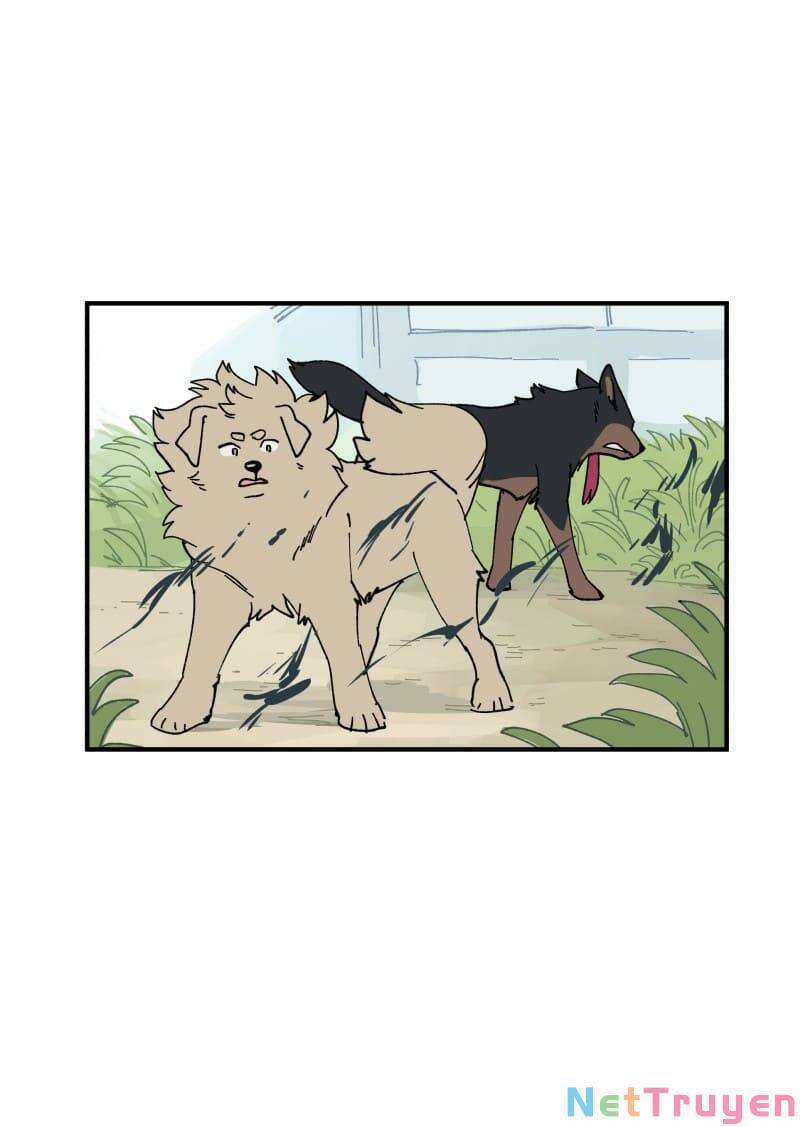 lumine - cội nguồn ánh sáng chapter 163 12