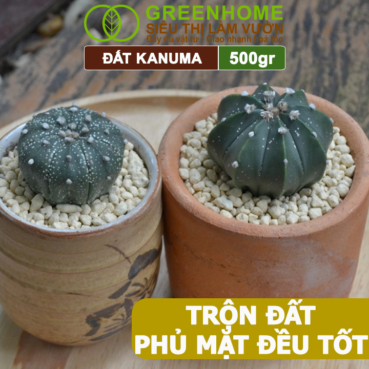 Đất Trồng Cây Kanuma Greenhome, Bao 500gr, Giá Thể Nhiều Khoáng Chất, Trồng Sen Đá, Bonsai