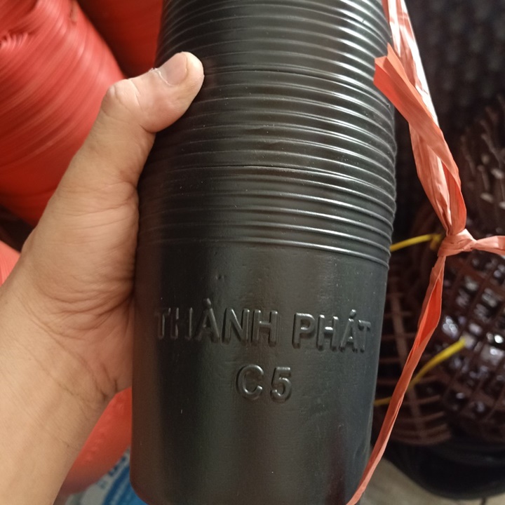Chậu nhựa đen C5 100x110 50 chậu