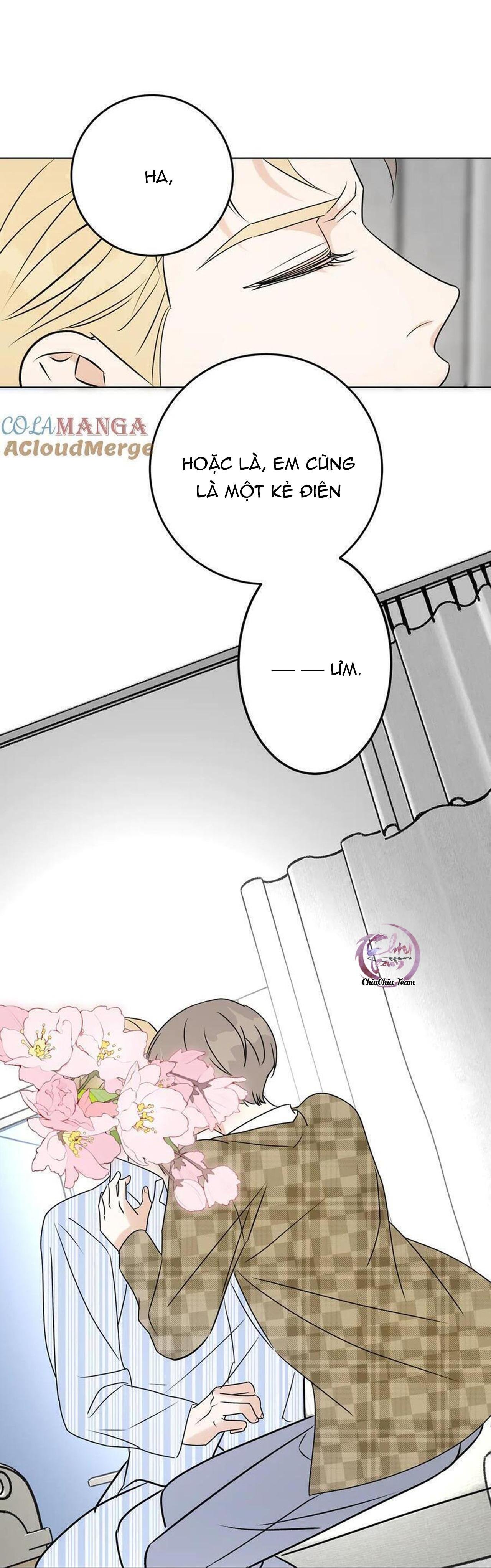 anh trai rẻ tiền của tôi chapter 63 41