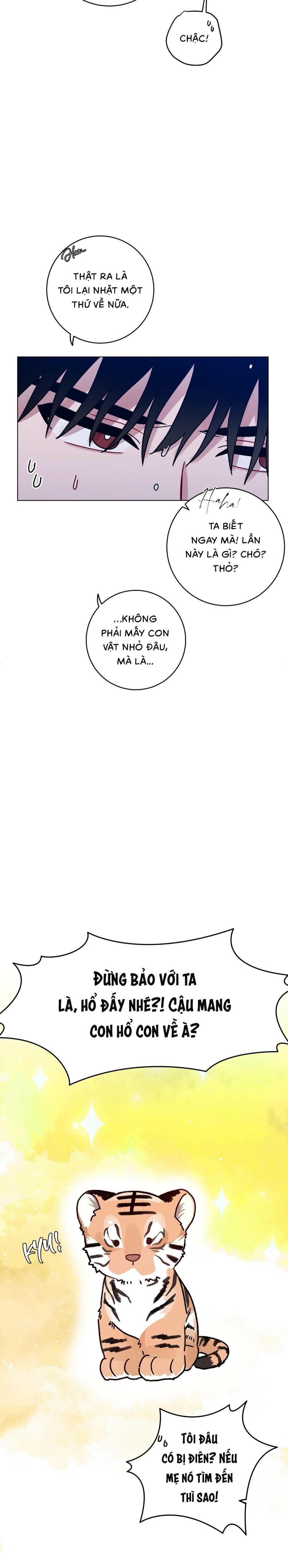 cơn mưa rào mùa hạ chapter 85 19