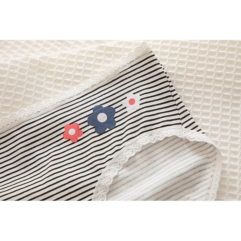 Quần Lót Nữ Cotton Kháng Khuẩn Ngang Eo Xuất Nhật Hàng Loại Đẹp.