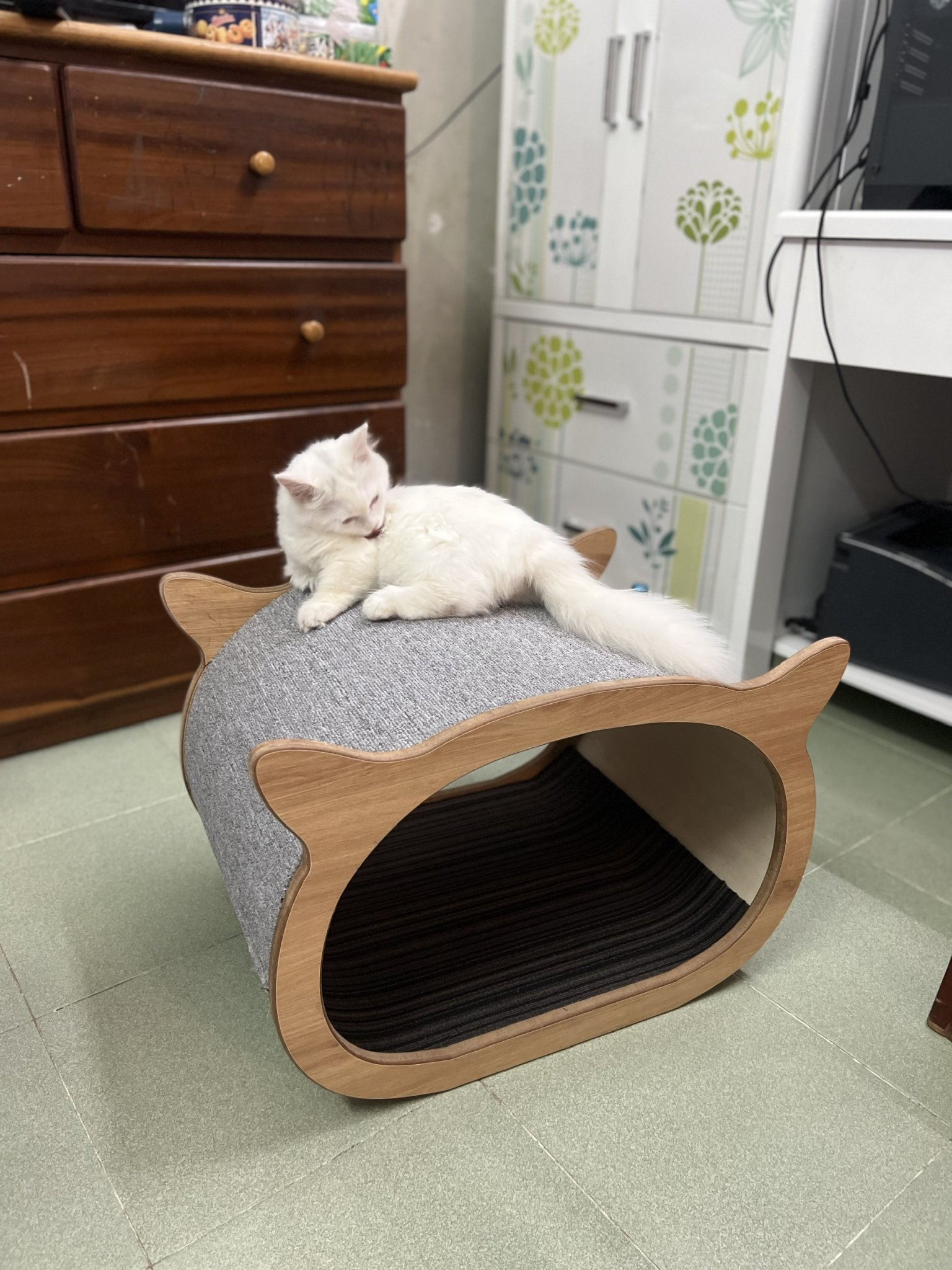 Chuồng mèo MSM002