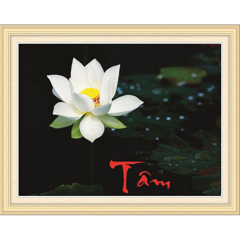 Tranh đính đá 12 Thánh Tông   - 88558