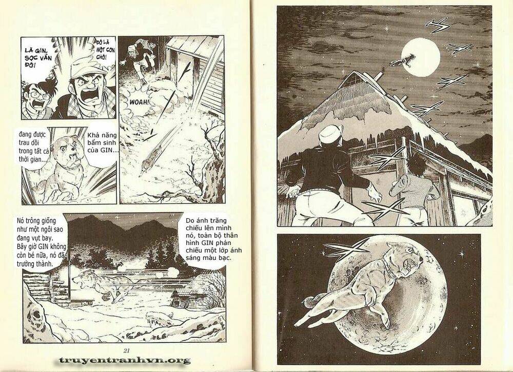 chú chó có nghĩa - ginga nagareboshi gin chapter 7 8