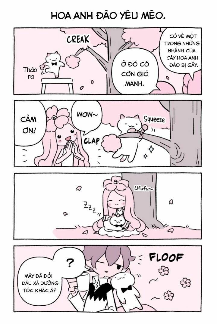 chú mèo kỳ diệu kyuu-chan chapter 635 3