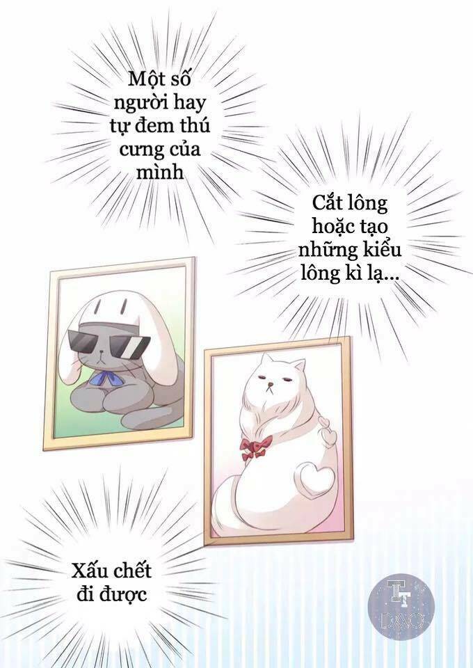 dưới móng vuốt mèo chapter 17 65
