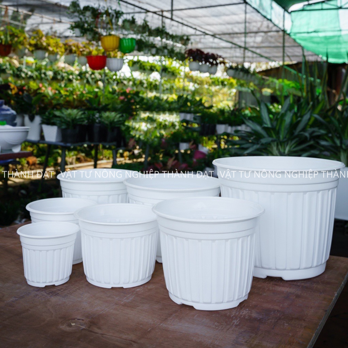 05 Chậu nhựa trắng TTK 18 trồng cây, trồng hoa cao cấp