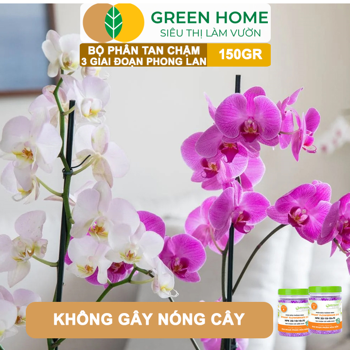 Bộ 3 Phân Tan Chậm Greenhome, Rynan 200-210-220 Chuyên Phong Lan 3 Giai Đoạn Dưỡng Cây Con, Kích Hoa, Sau Ra Hoa