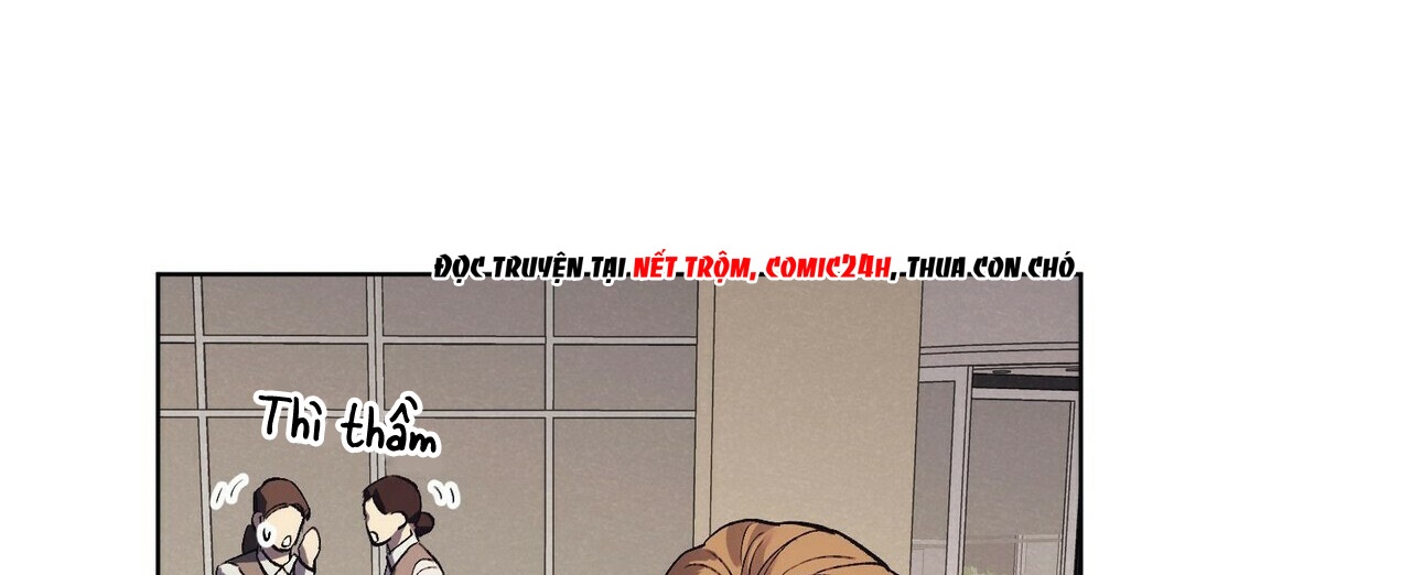 chàng dâu nhà họ kang chapter 6 108