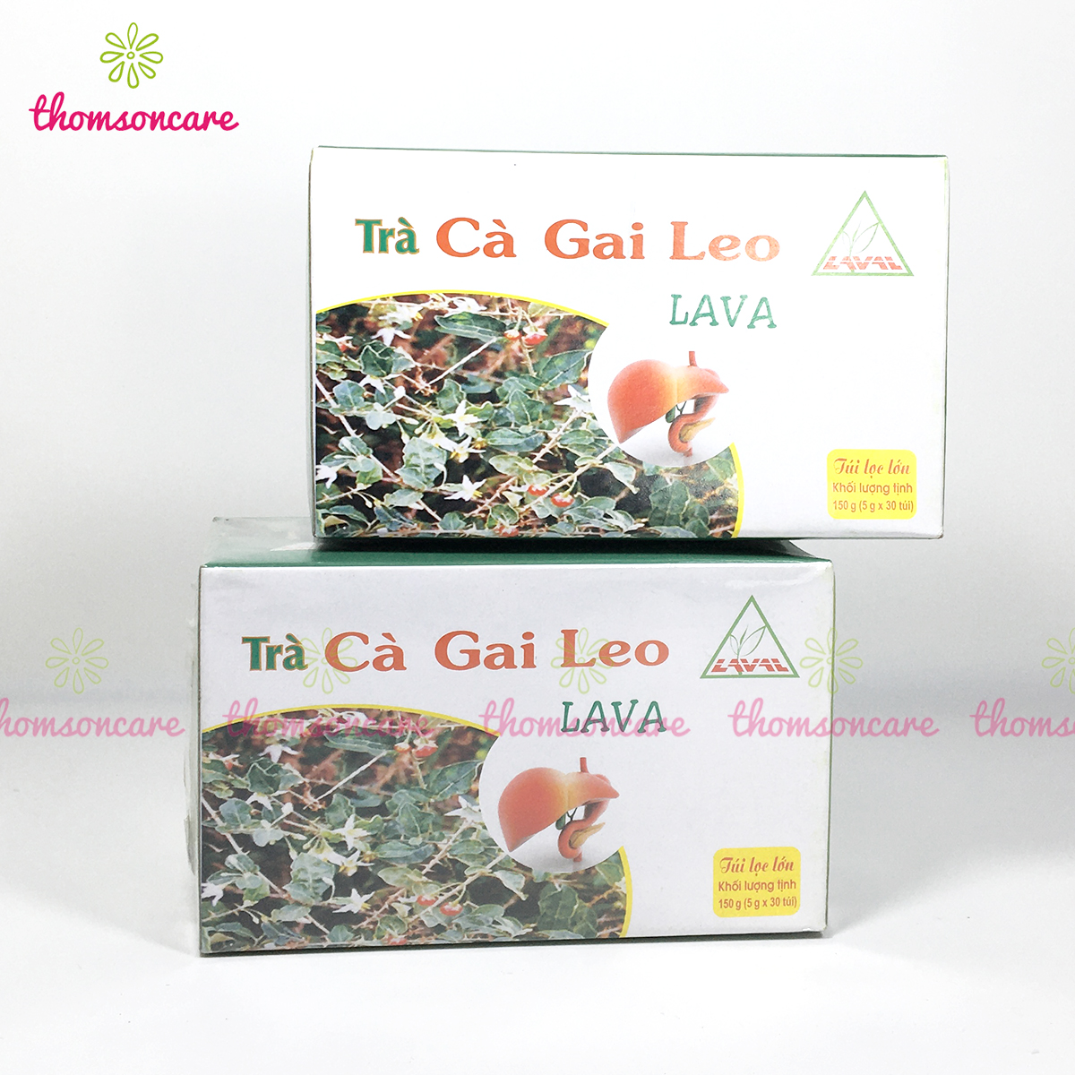 Trà cà gai leo Lava Hộp 30 gói túi lọc - Hỗ trợ giải độc, mát, bổ gan, giảm mệt mỏi