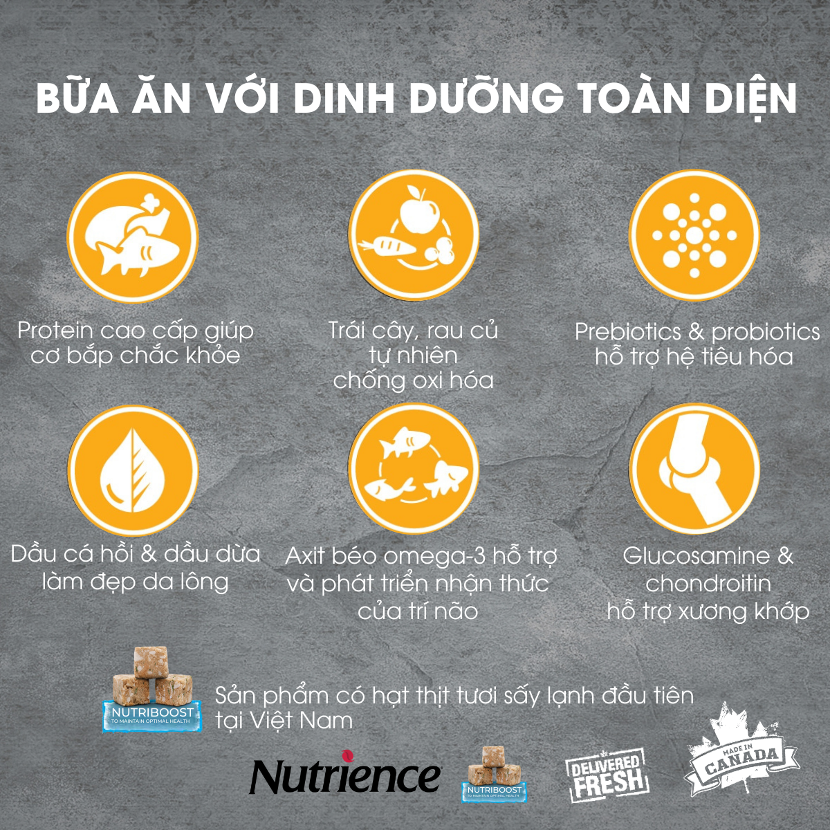 Thức Ăn Cho Mèo Nutrience Subzero Bao 2,27kg - Thịt Gà, Cá Hồi, Cá Trích, Cá Tuyết, Cá Đại Dương, Rau Cu & Trái Cây Tự Nhiên