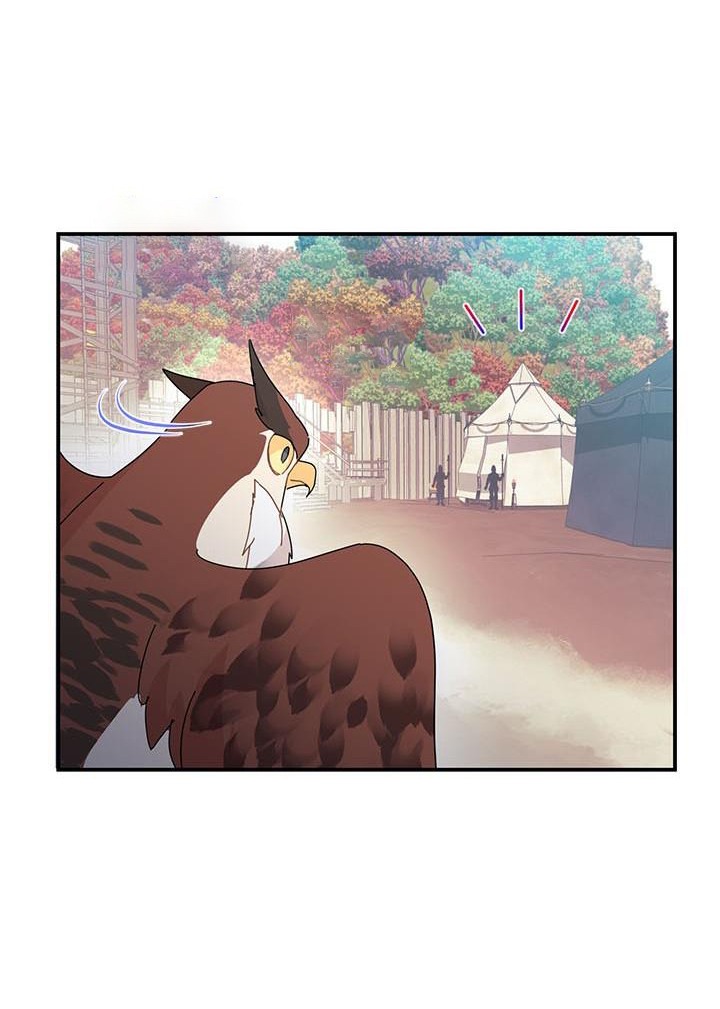 công chúa của loài chim chapter 44.2 18