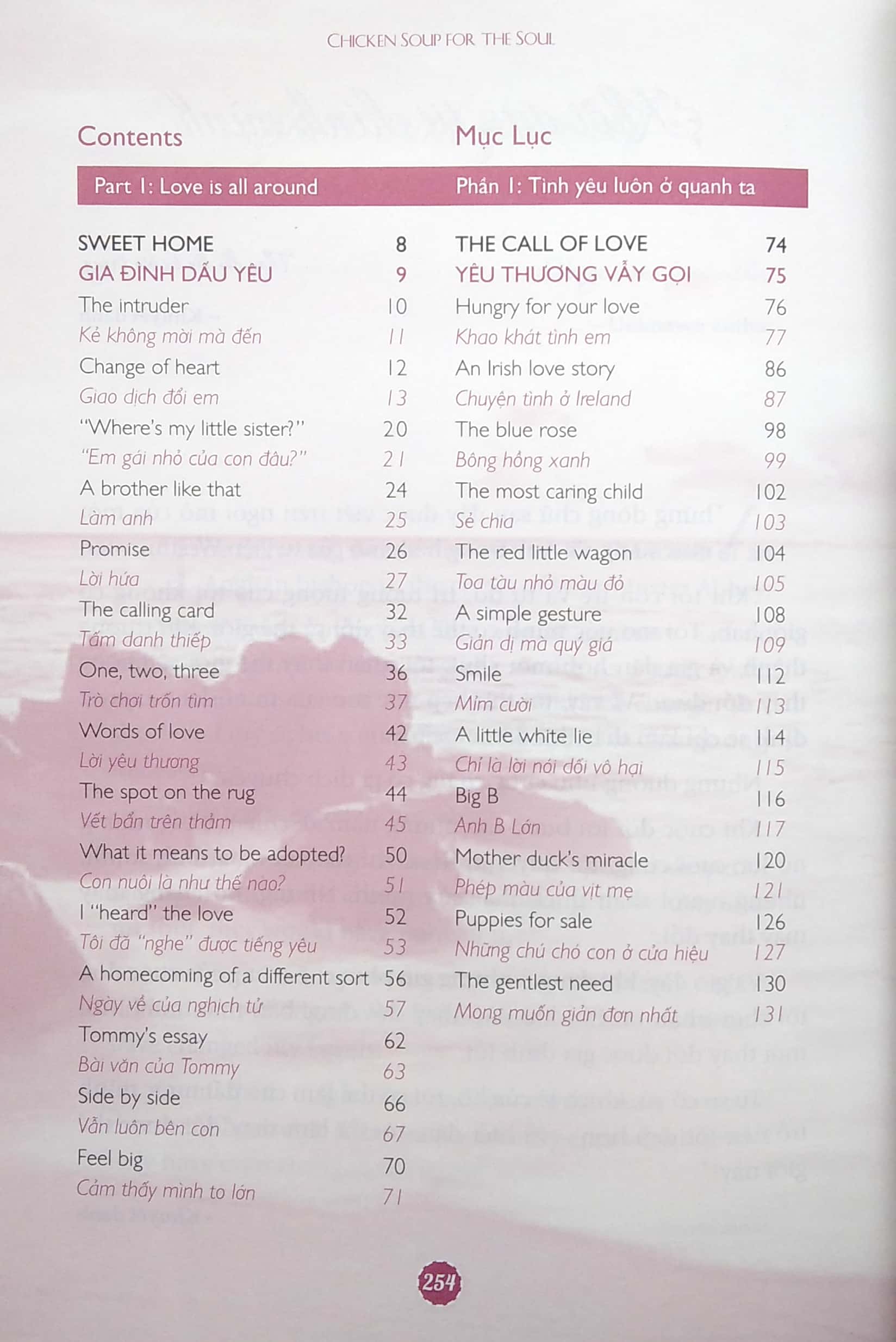 The Best Of Chicken Soup For The Soul - Tuyển Tập Những Câu Chuyện Hay Nhất