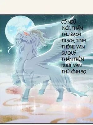 tuyệt thế luyện đan sư chapter 12 7