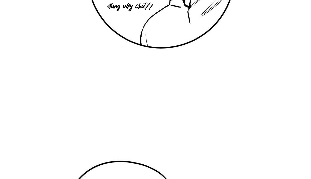 chàng dâu nhà họ kang chapter 11 38