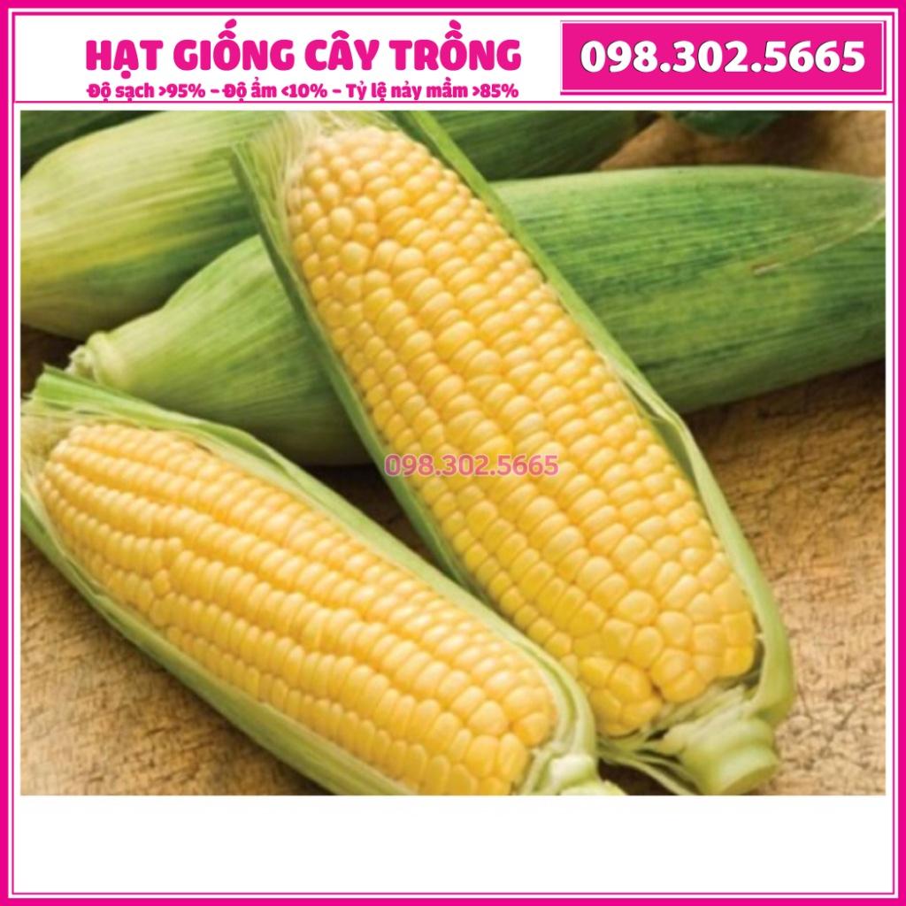 Hạt giống ngô ngọt, bắp ngọt F1 cao sản - 500g - Hạt giống tuyển chọn chất lượng tốt, năng suất cao