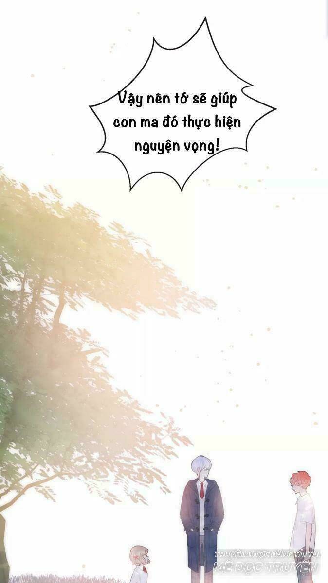 từ cái nhìn của em chapter 24 41