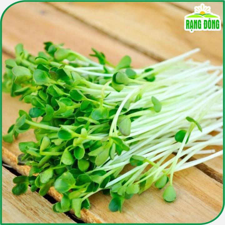 Hạt giống Rau Mầm Củ Cải Trắng Dễ Trồng, Nhanh Thu Hoạch - Hạt Giống Rạng Đông