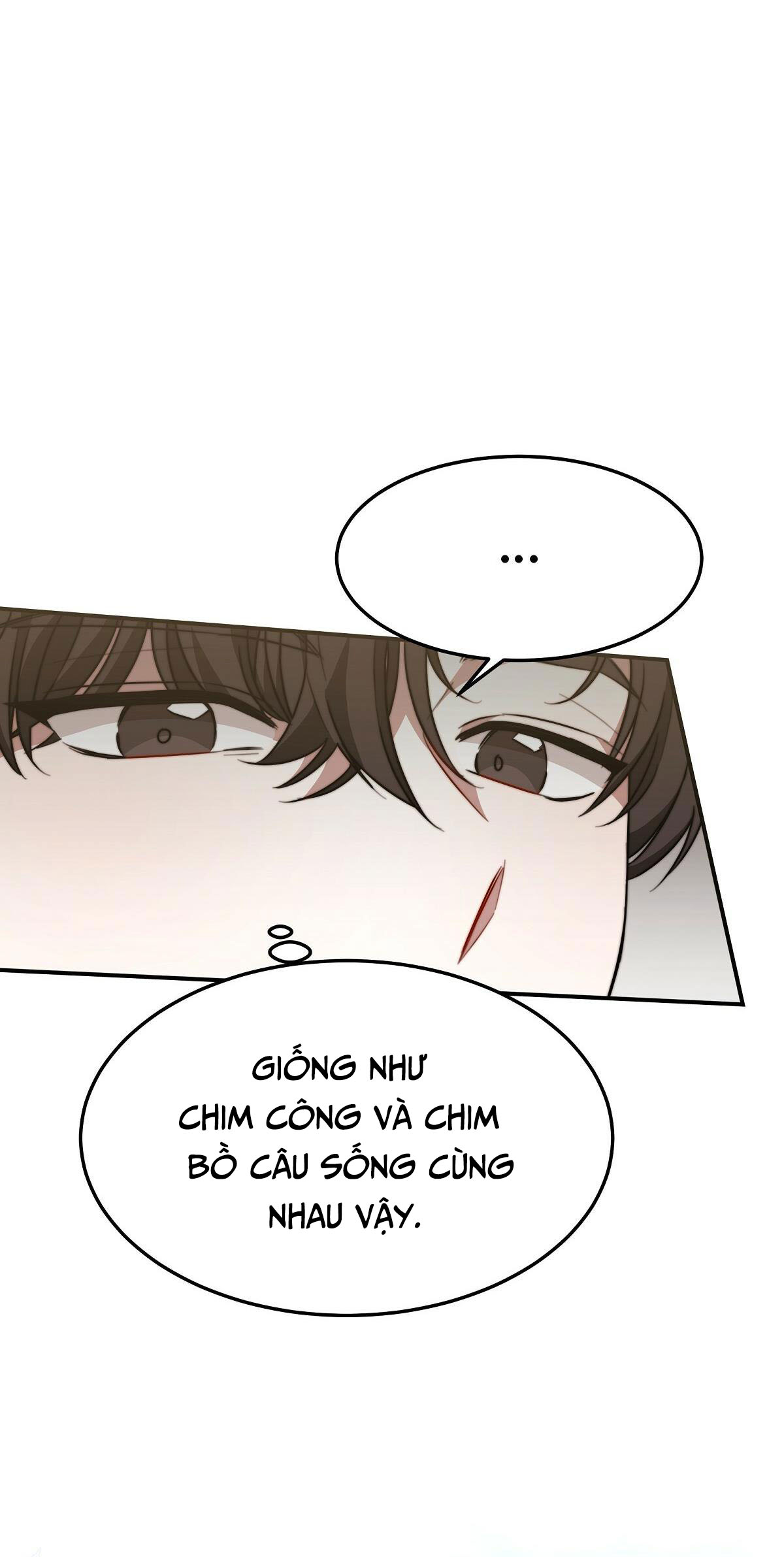 cuộc hôn nhân tay ba chapter 23 17