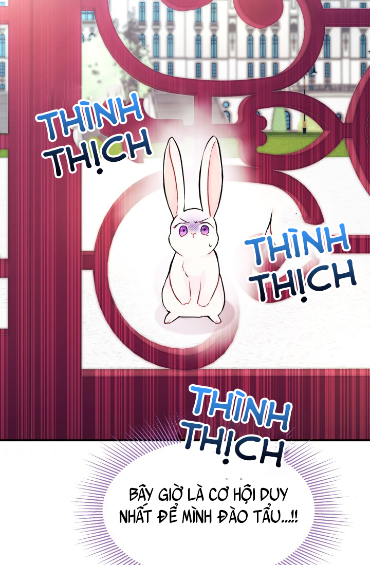 mối liên kết giữa báo đen và bé thỏ chapter 3 58