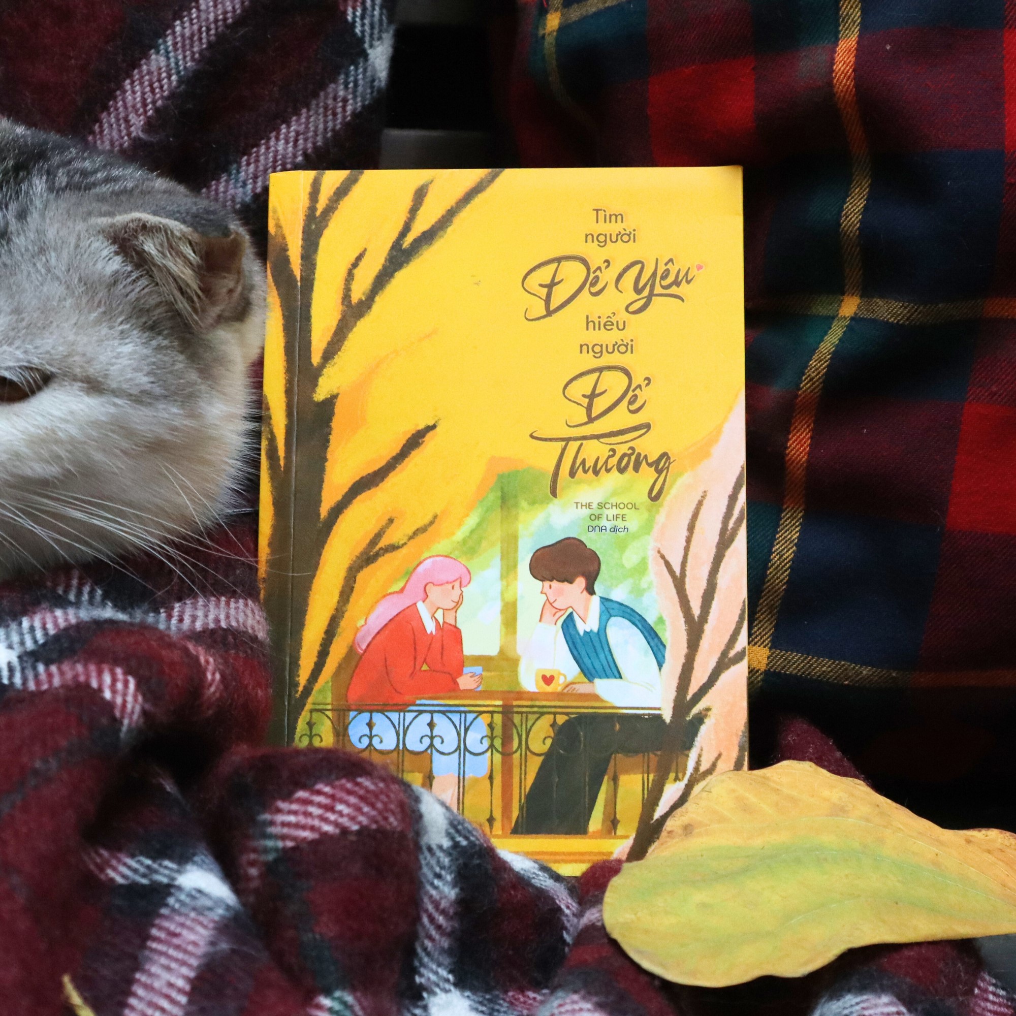 Tìm Người Để Yêu, Hiểu Người Để Thương