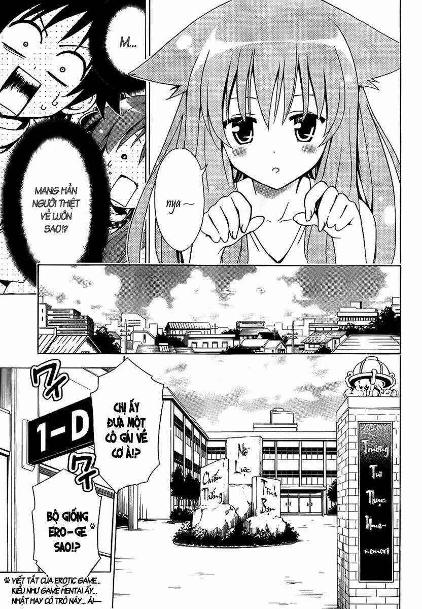 mayoi neko overrun! chapter 1 17