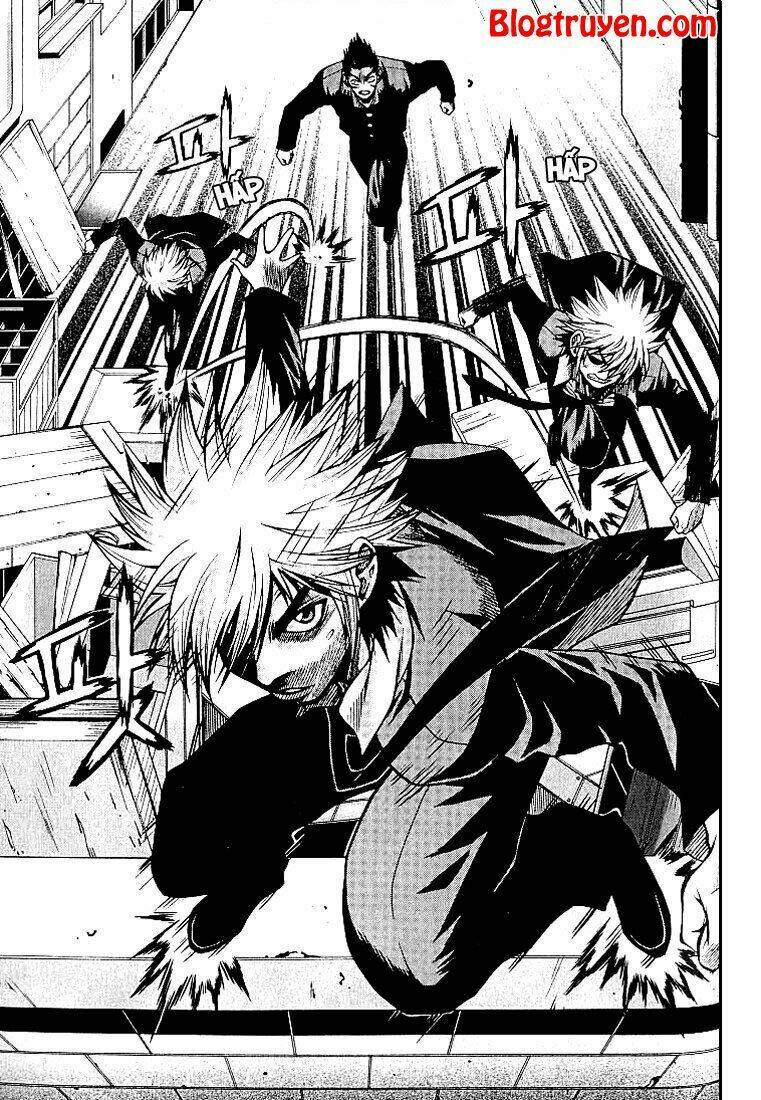 zippy ziggy chapter 10 13