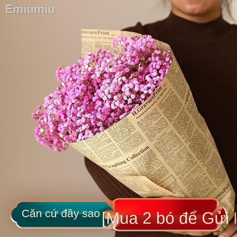 ✠Hoa gypsophila tự nhiên với đèn và hoa khô trang trí phòng khách