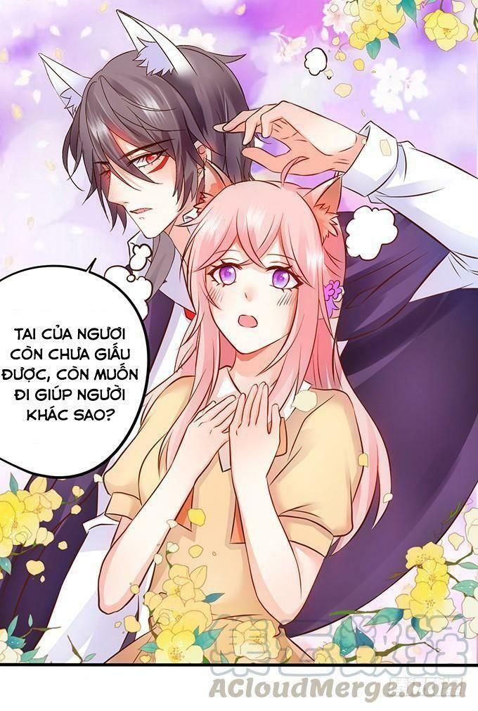 hồ tiên hung bạo chapter 66 9