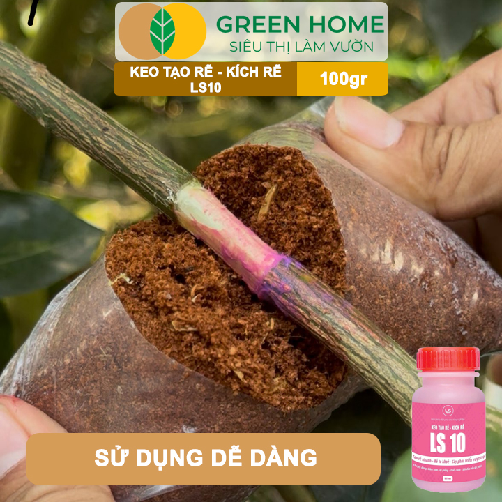 Keo Tạo Rễ Kích Rễ LS10 GreenHome, 100g – Ra Rễ Nhanh, Rễ Trắng Khỏe - Giâm Hom, Chiết Cành, Bonsai